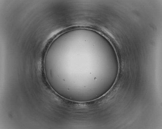 X0000113991315200910161637