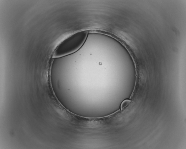 X0000113991316200910161637