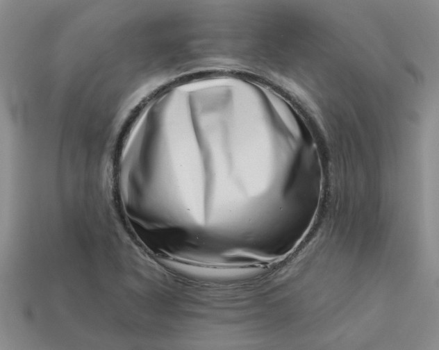 X0000113991318200910161637