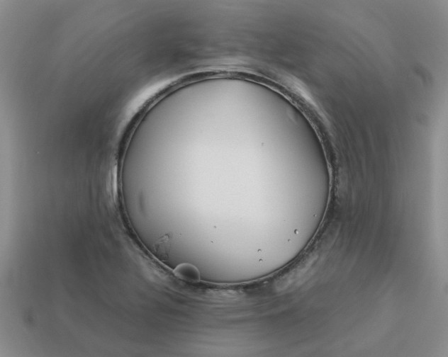 X0000113991320200910161637