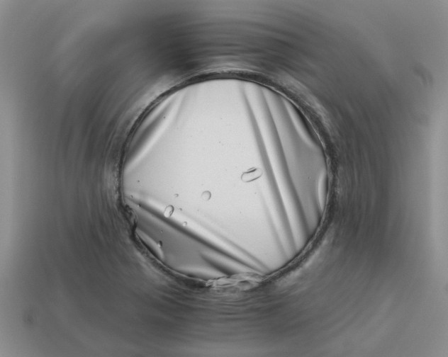 X0000113991321200910161637