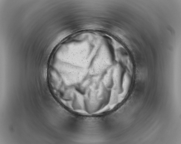 X0000113991322200910161637