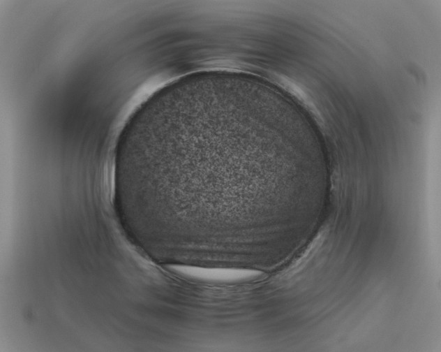 X0000113991323200910161637