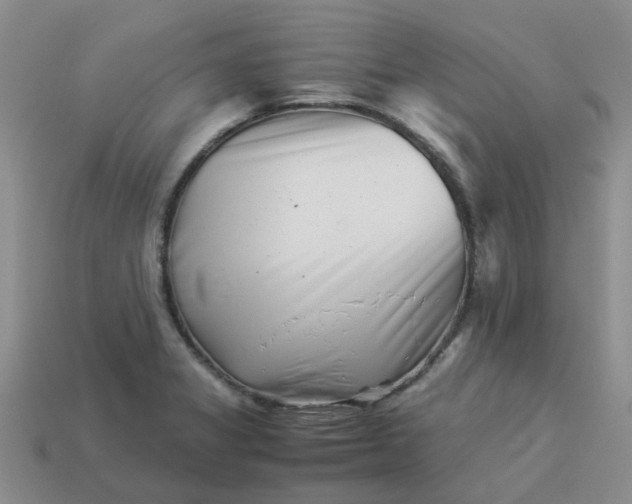 X0000113991325200910161637