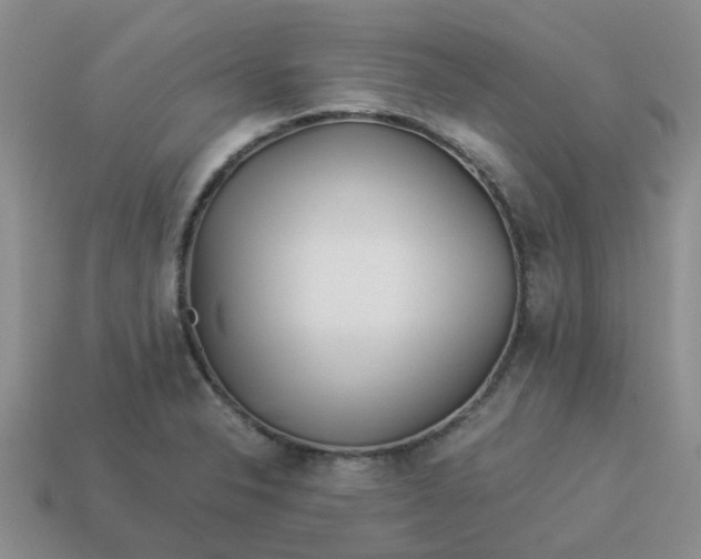 X0000113991326200910161637