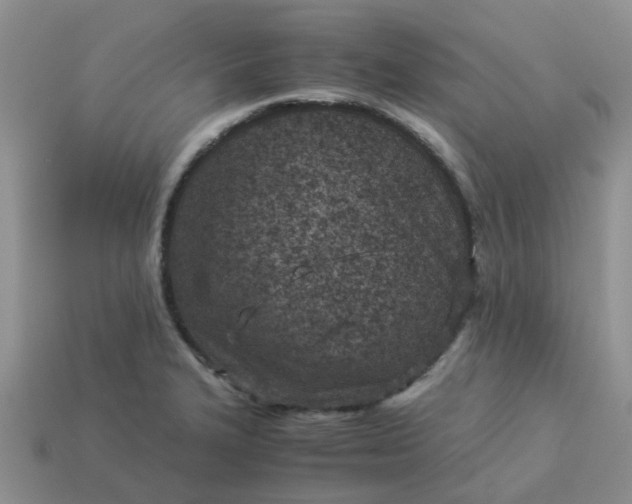 X0000113991327200910161637