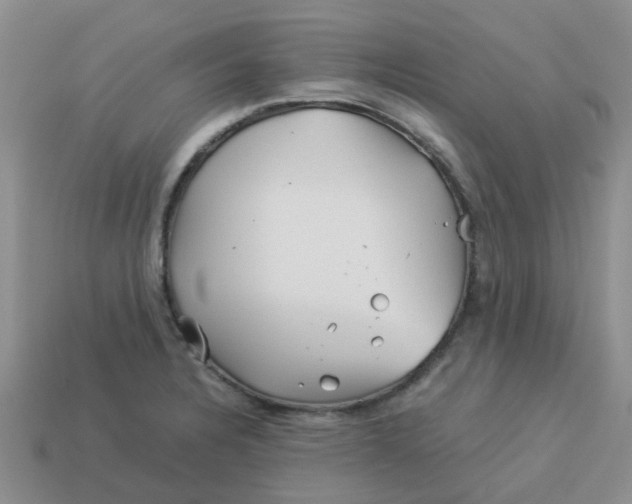 X0000113991328200910161637