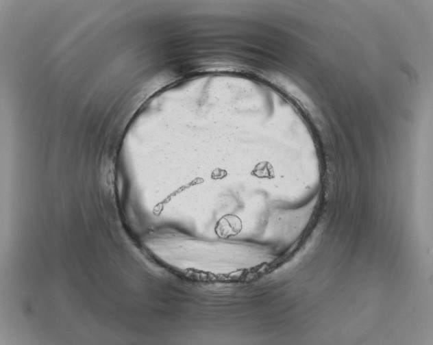 X0000113991329200910161637