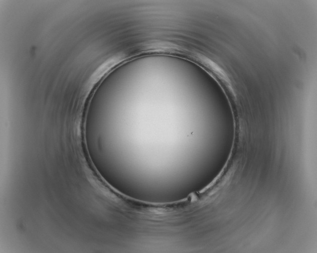 X0000113991330200910161637