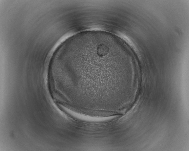 X0000113991331200910161637