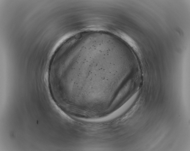 X0000113991334200910161637