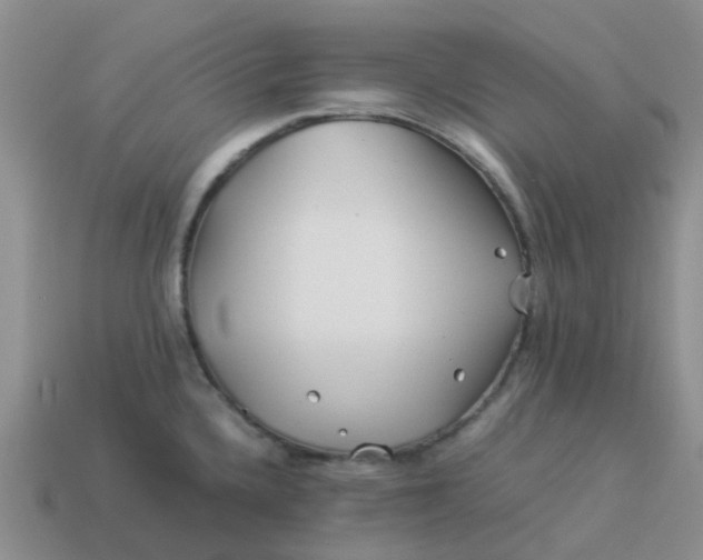 X0000113991336200910161637