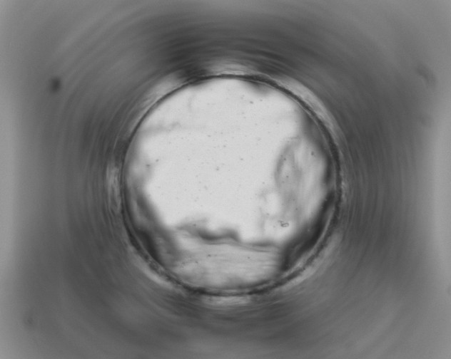 X0000113991337200910161637