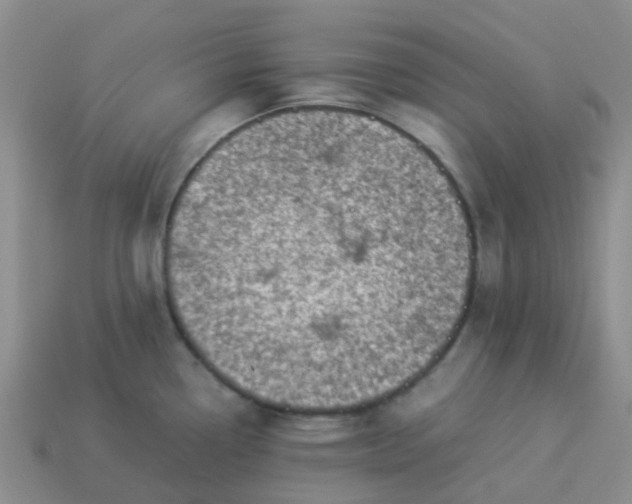 X0000113991338200910161637