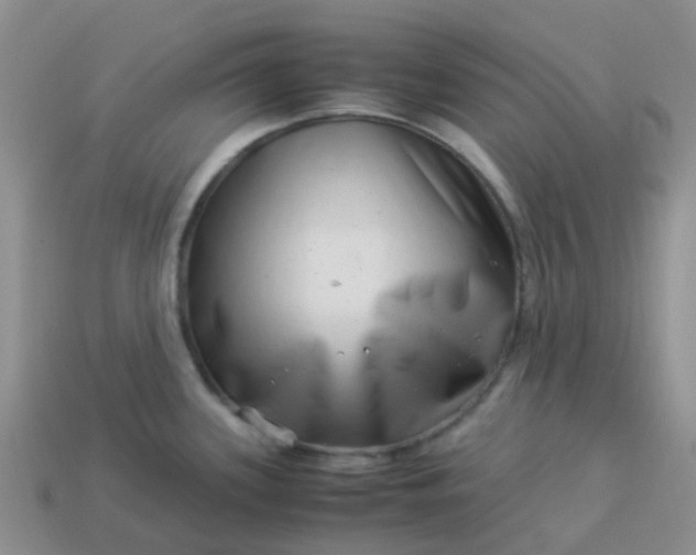 X0000113991339200910161637