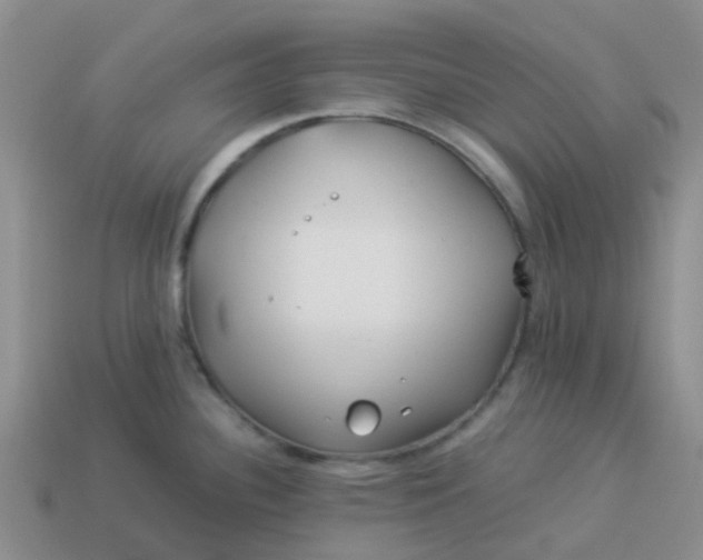 X0000113991340200910161637