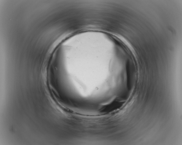 X0000113991341200910161637