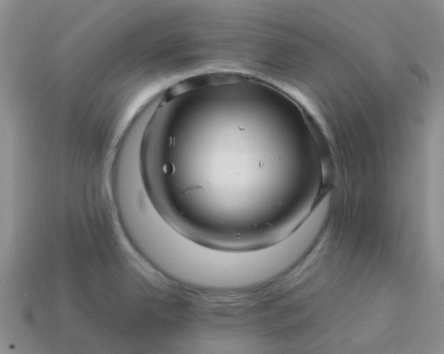 X0000113991342200910161637