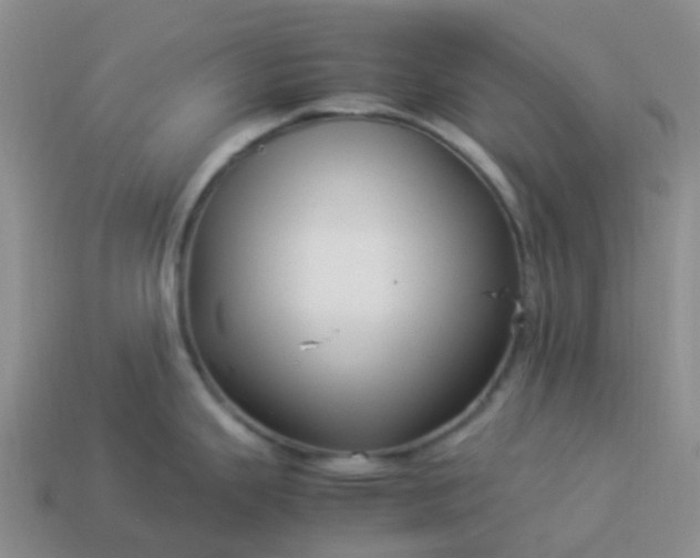 X0000113991343200910161637