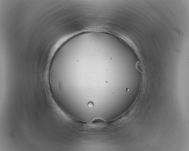 X0000113991344200910161638