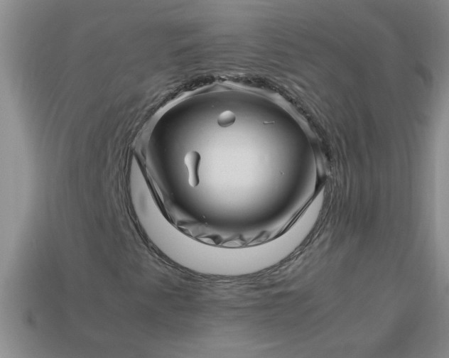 X0000113991345200910161637