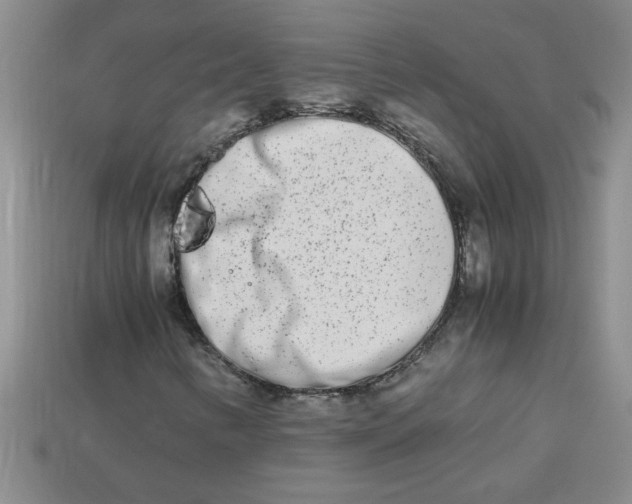 X0000113991346200910161637