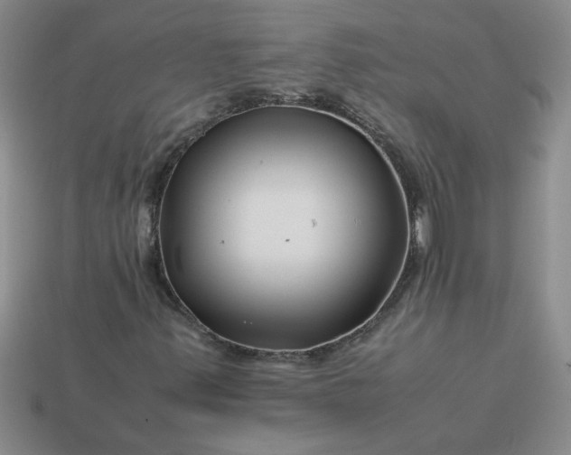 X0000113991347200910161637