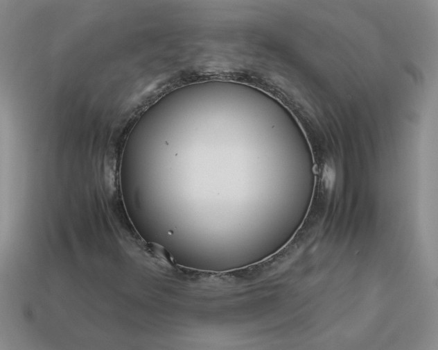 X0000113991348200910161637