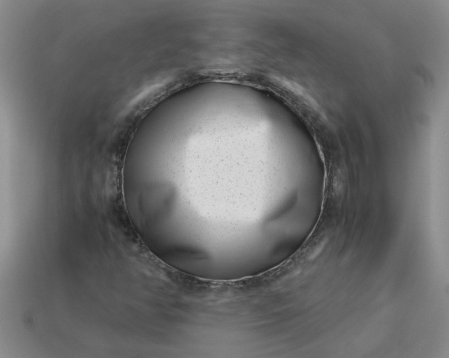 X0000113991350200910161637