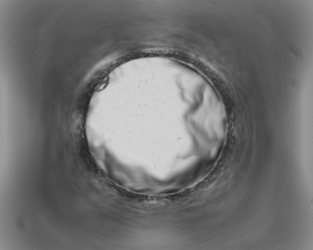 X0000113991351200910161637