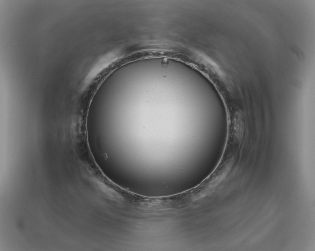 X0000113991352200910161637