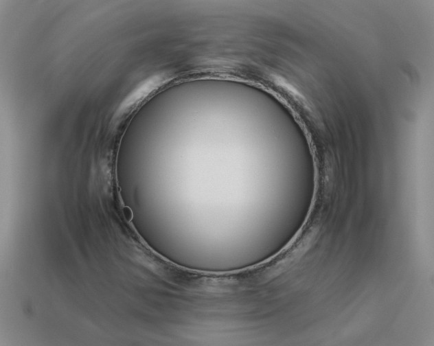 X0000113991354200910161637