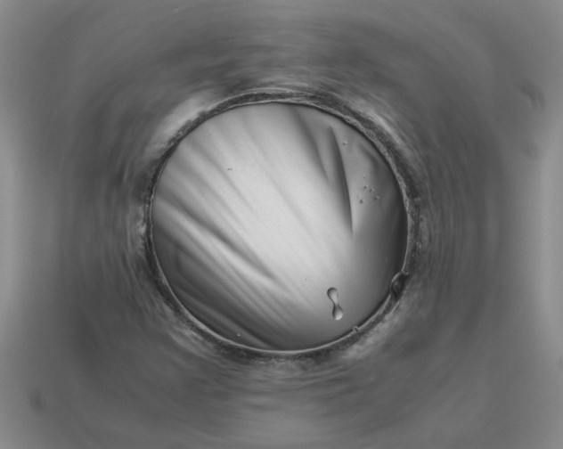 X0000113991355200910161637