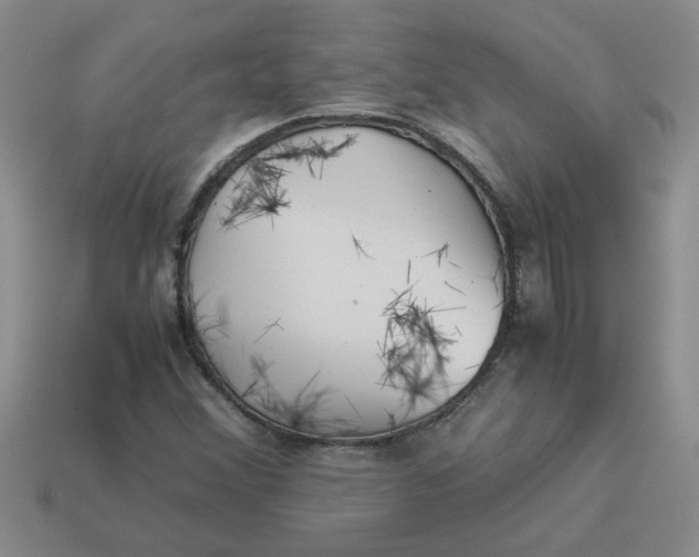 X0000113991356200910161637