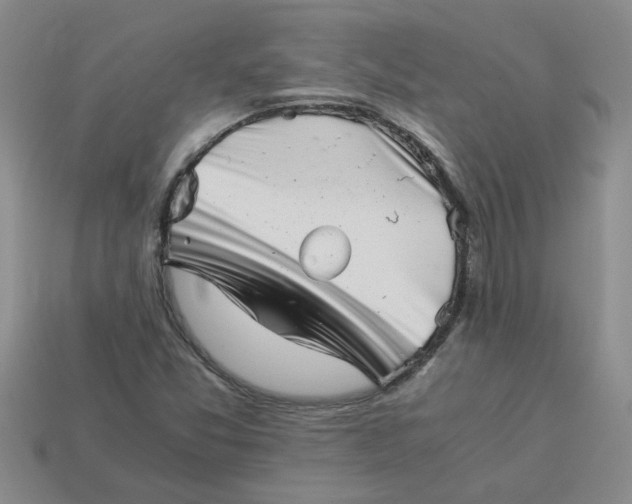 X0000113991357200910161637