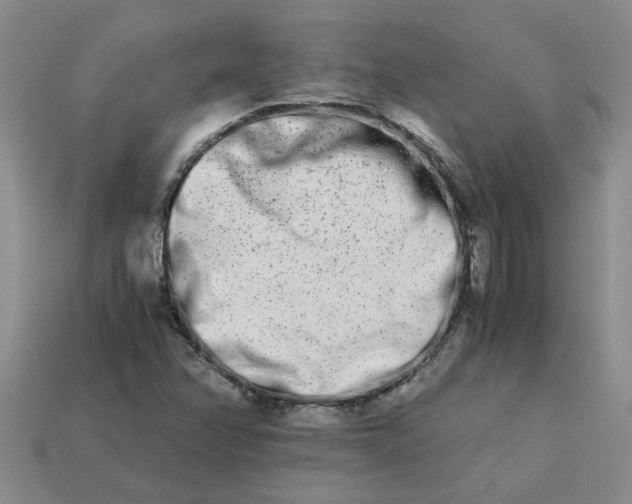 X0000113991358200910161637