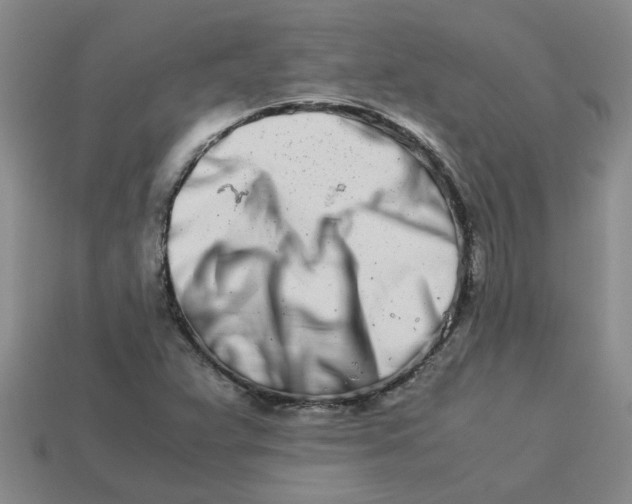 X0000113991359200910161637