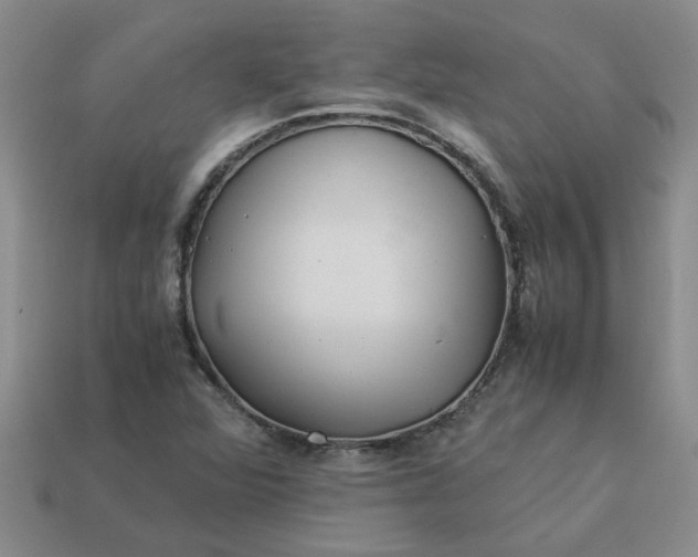 X0000113991360200910161637