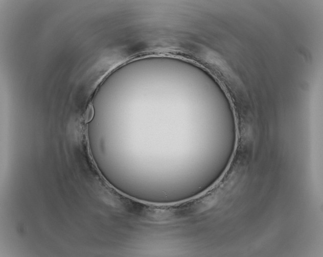 X0000113991361200910161637