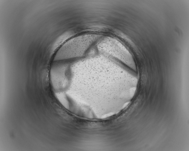 X0000113991362200910161637