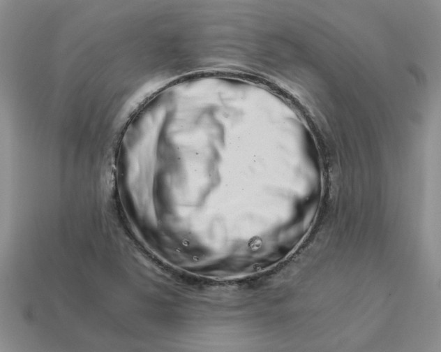 X0000113991363200910161637