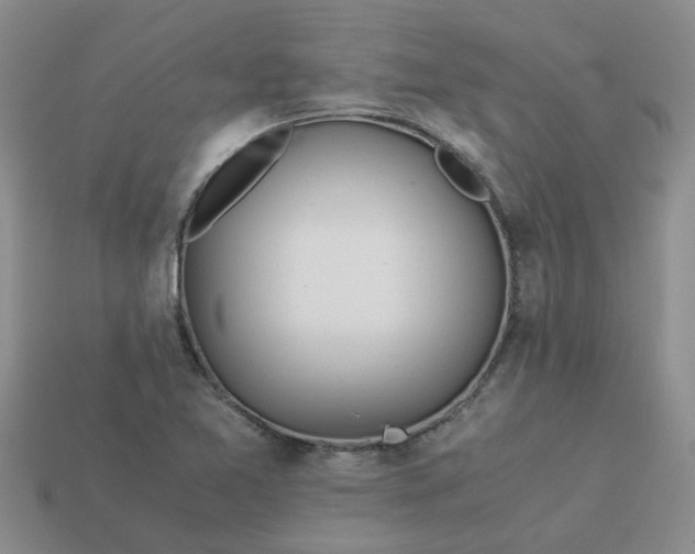 X0000113991365200910161637