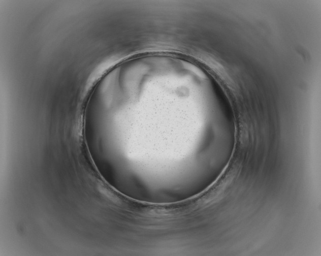 X0000113991366200910161637