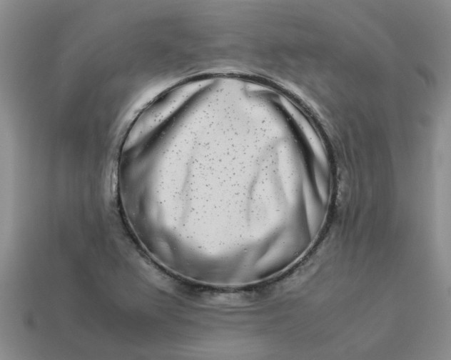 X0000113991367200910161637