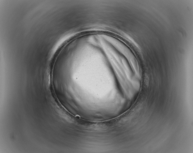 X0000113991368200910161637