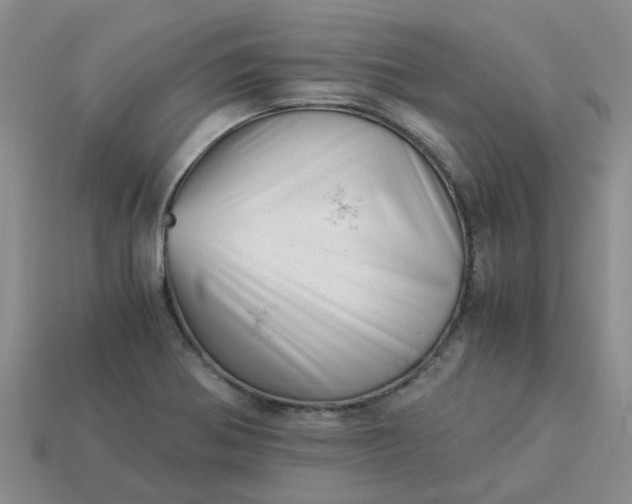 X0000113991370200910161636