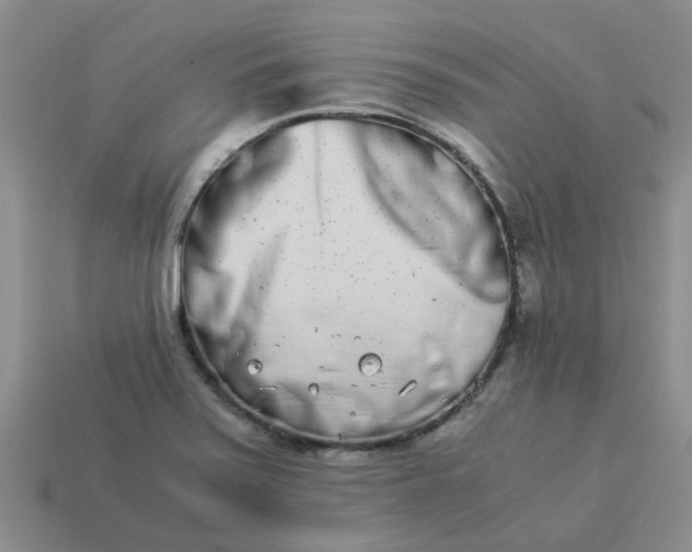 X0000113991371200910161636