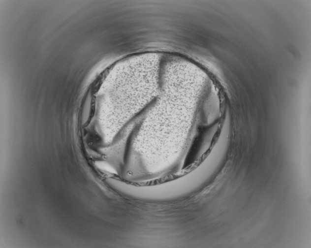 X0000113991373200910161636