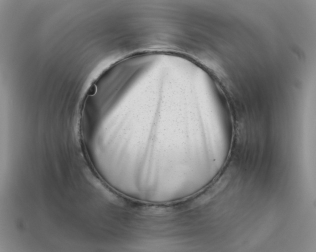 X0000113991374200910161636