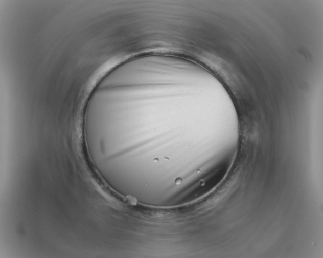 X0000113991375200910161636